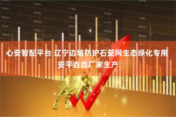 心安智配平台 辽宁边坡防护石笼网生态绿化专用 安平垚垚厂家生产