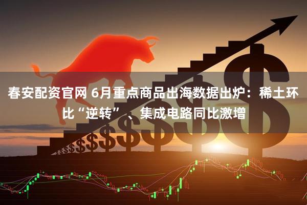 春安配资官网 6月重点商品出海数据出炉：稀土环比“逆转” 、集成电路同比激增