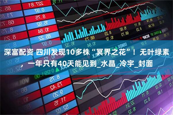 深富配资 四川发现10多株“冥界之花”！无叶绿素，一年只有40天能见到_水晶_冷宇_封面